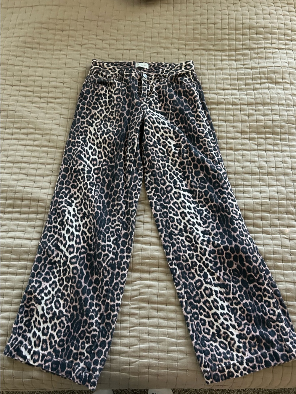 PacSun Low Rise Casey Baggy Wide Leg Jeans